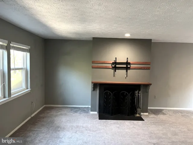 a bed room with furniture and a fireplace
