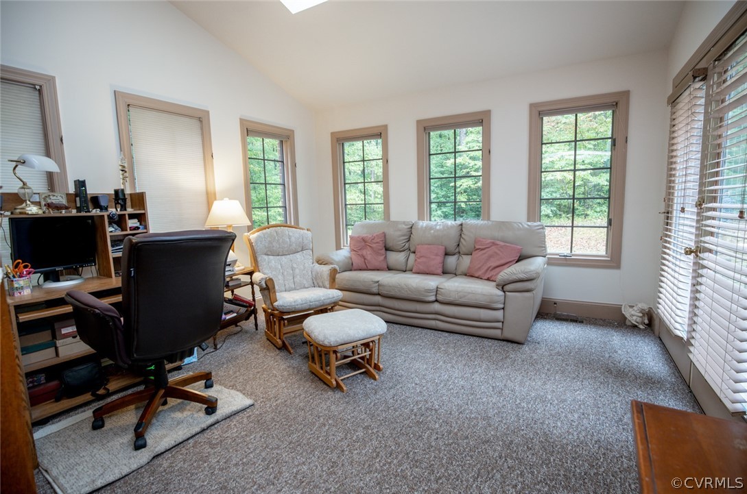 17268 White Pine Road Beaverdam, VA 23015 - Photo 17 of 50 Florida Room with skylights, vaulted ceiling and c