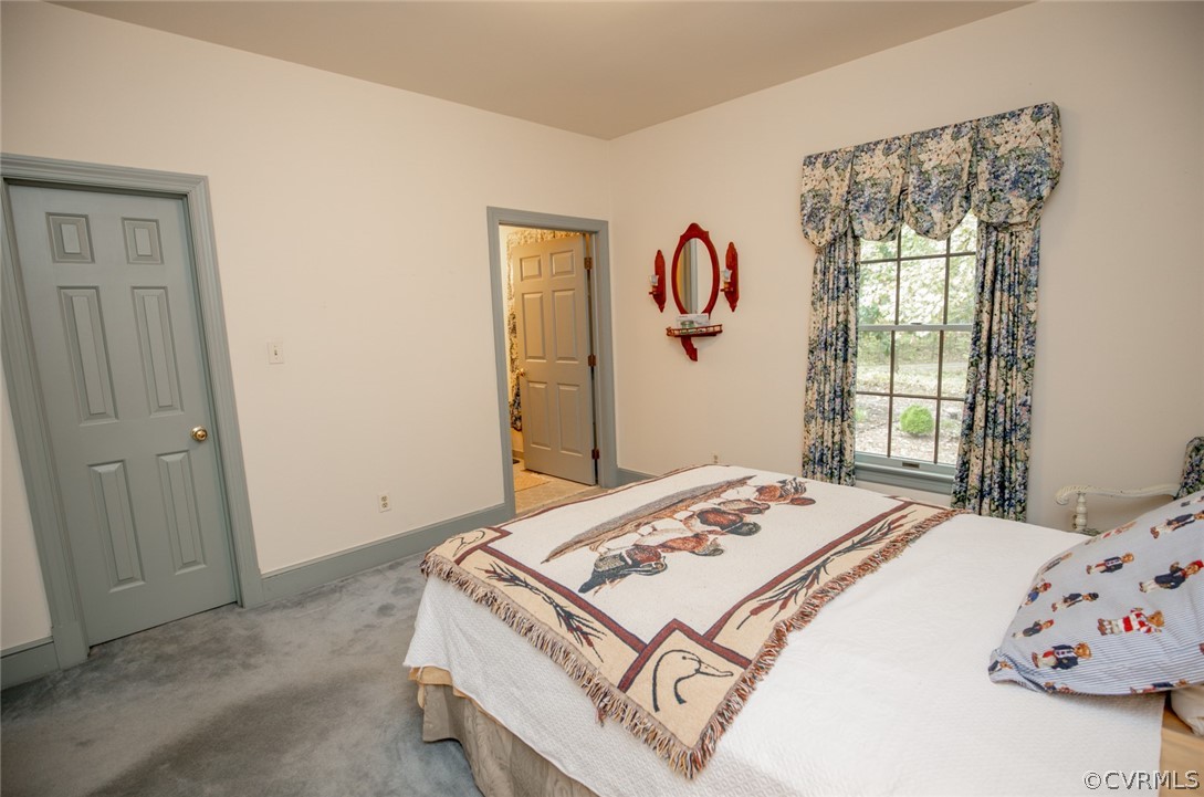 17268 White Pine Road Beaverdam, VA 23015 - Photo 29 of 50 First floor Master Bedroom with closet and full ba