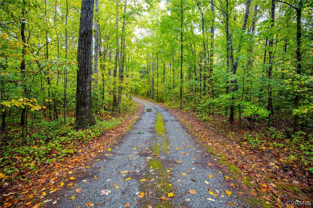17268 White Pine Road Beaverdam, VA 23015 - Photo 50 of 50 Driveway to serene privacy of 10 acres