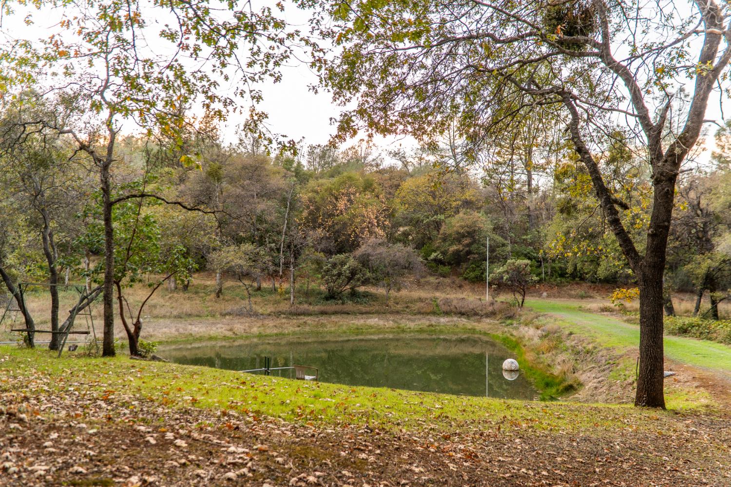 14990 Willow Glen Road Rackerby, CA 95972 - Photo 70 of 81 Bass pond holds water year round, fed by run-off or from the pond well.