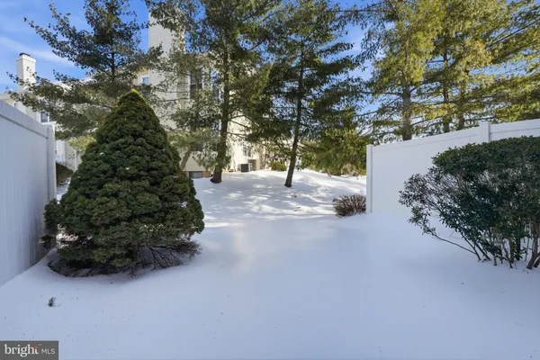 a picture of plants with tree in front of it