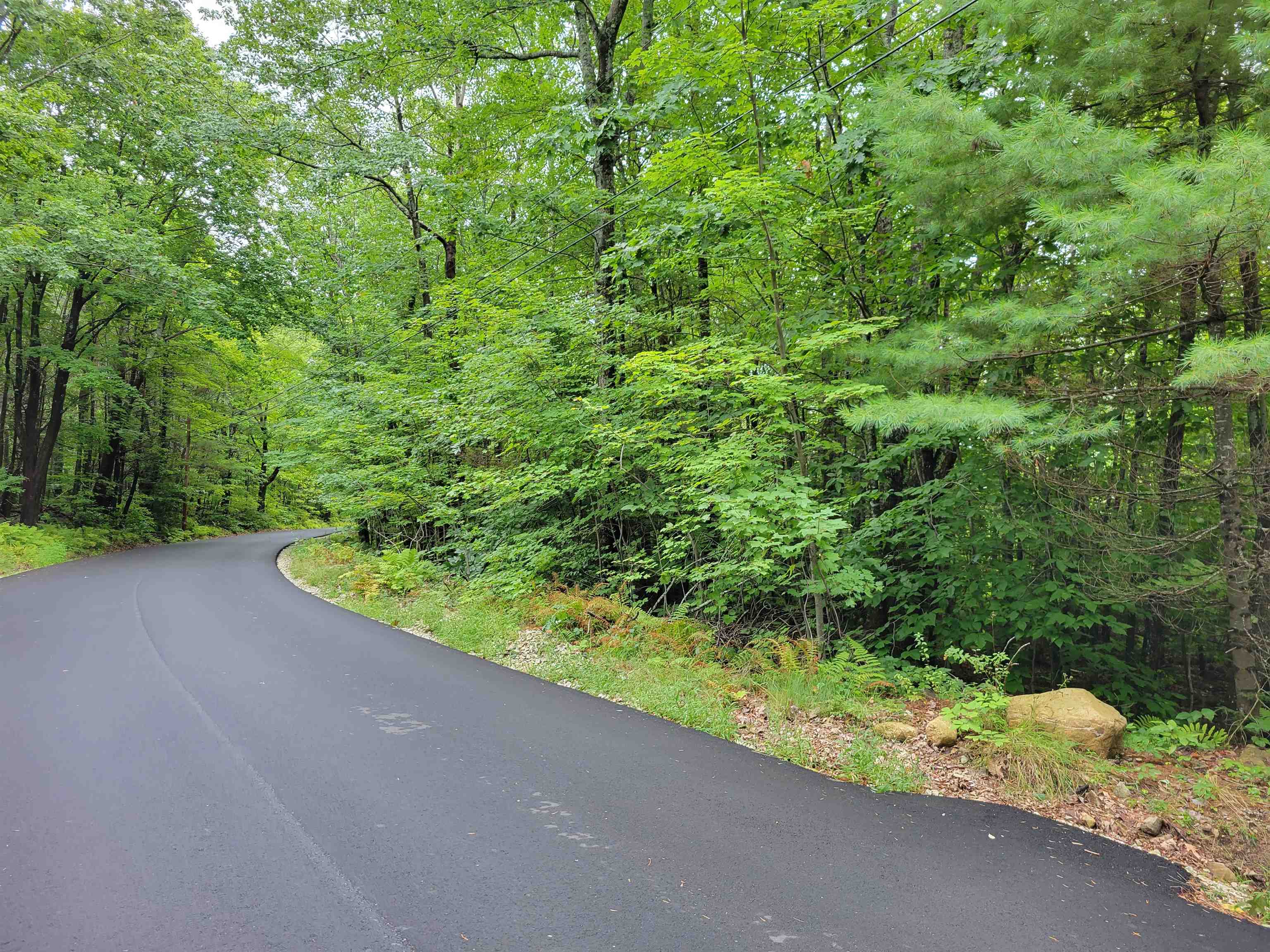 139-8 Stoneham Road Wolfeboro, NH 03894 - Photo 3 of 5