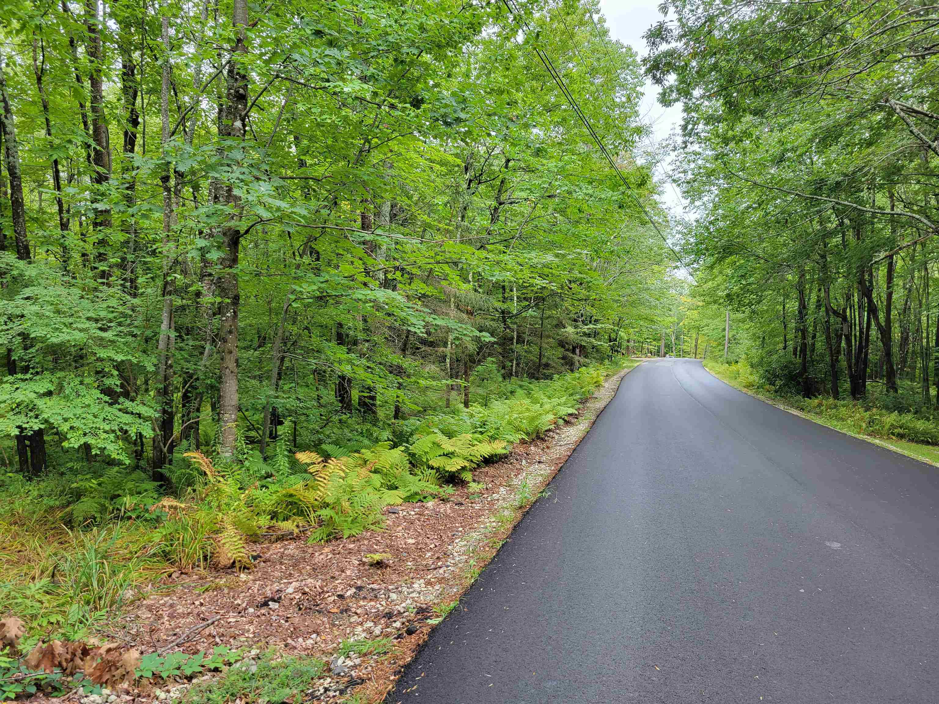 139-8 Stoneham Road Wolfeboro, NH 03894 - Photo 4 of 5