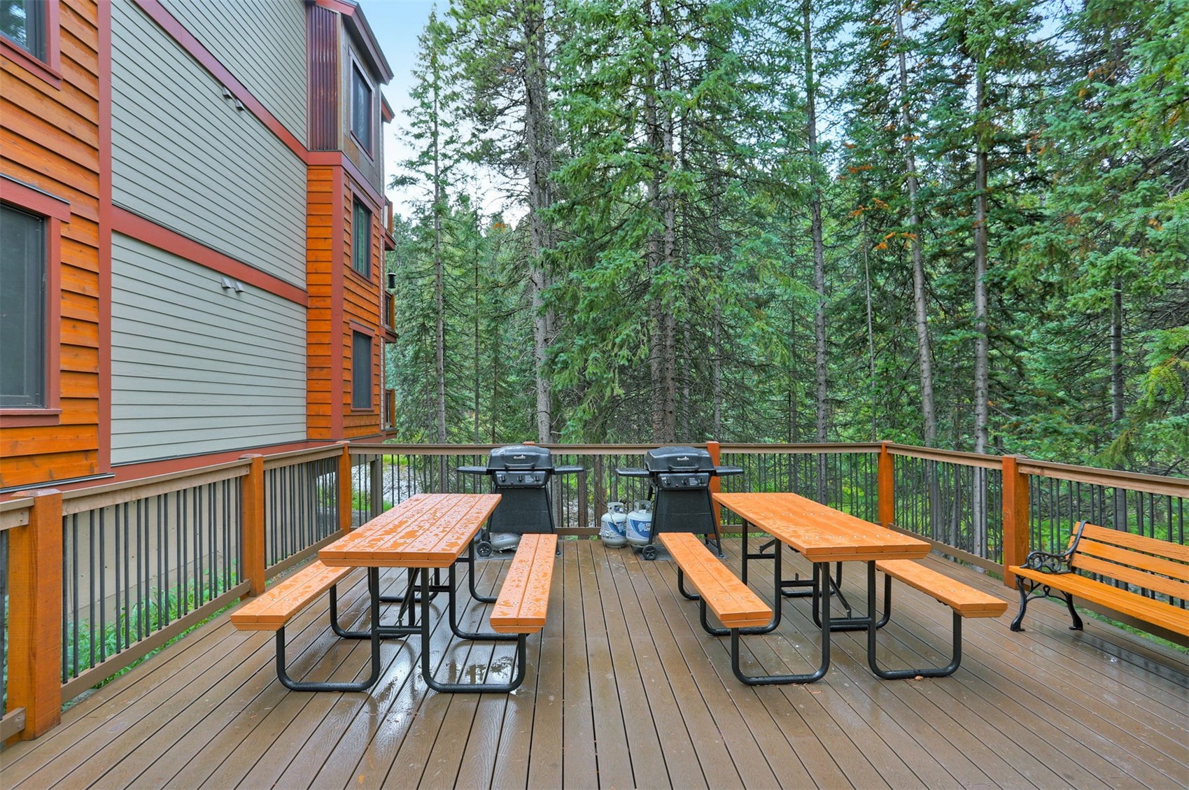 805 Columbine Road, Unit 102 Breckenridge, CO 80424 - Photo 23 of 35