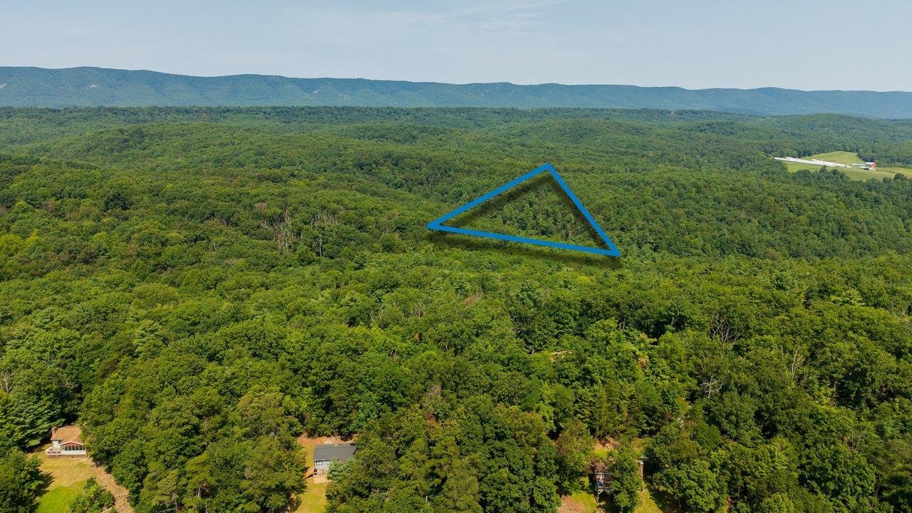 0 Maple Road North Mount Jackson, VA 22842 - Photo 3 of 6 Gallery Image 3