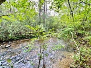 1345 Albert Frye Road Crossville, TN 38571 - Photo 60 of 60