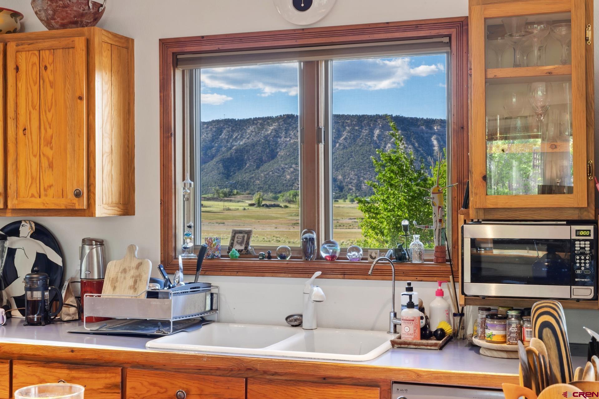 750 Charles Street Ridgway, CO 81432 - Photo 8 of 39