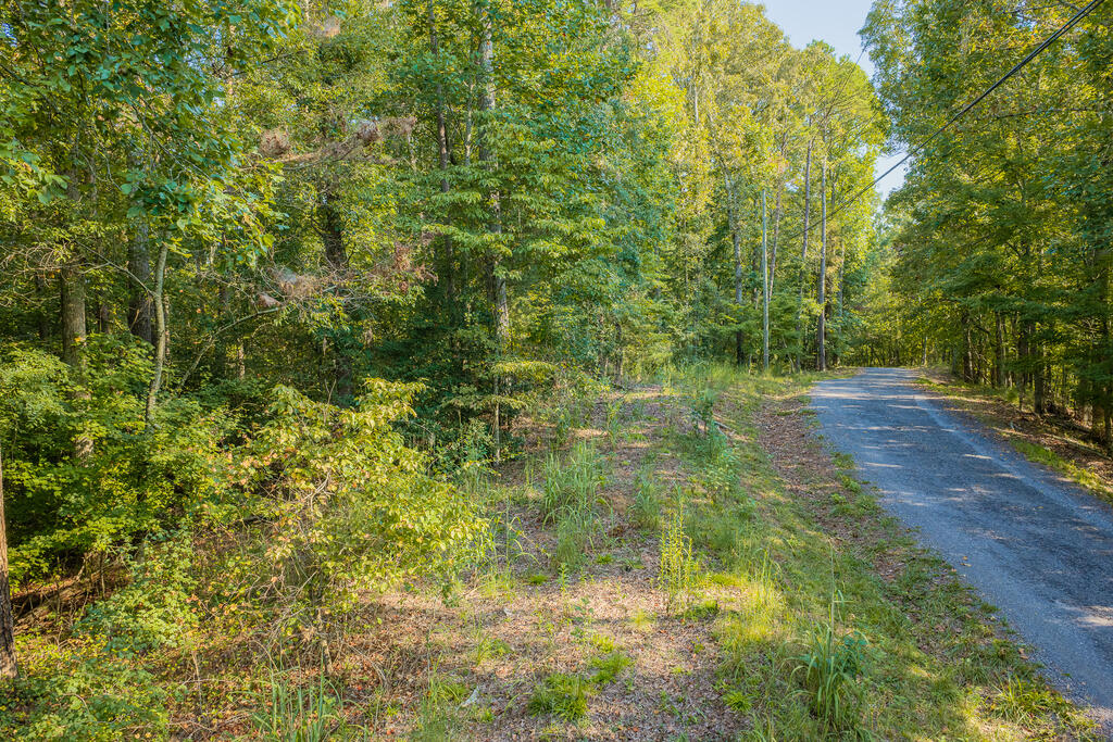Lot 1709 Rebekah Ridge Road Talking Rock, GA 30175 - Photo 6 of 23 Gallery Image 6
