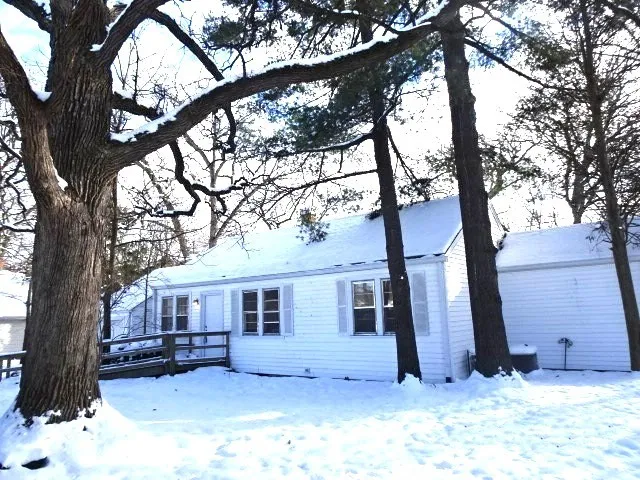 a view of a lush green forest