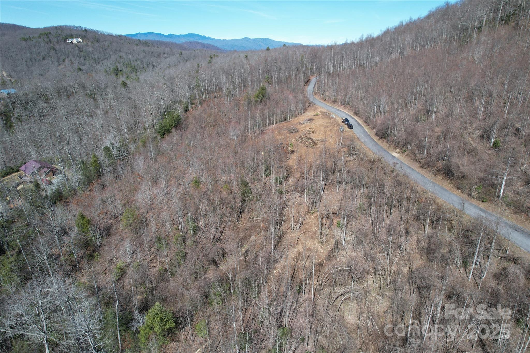 99999 Old Fort Road Old Fort, NC 28762 - Photo 2 of 8 a view of a dry yard with green space