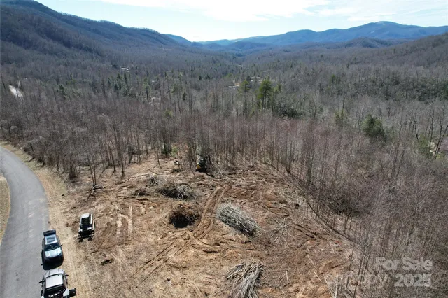 a view of a forest with mountains in the background