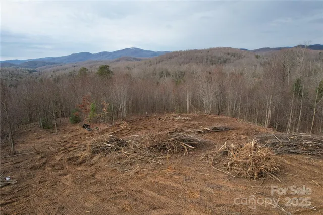 a view of a yard with a mountain