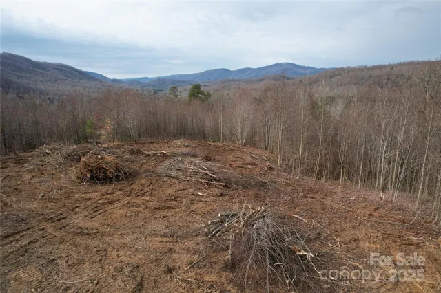 a view of a backyard of a house