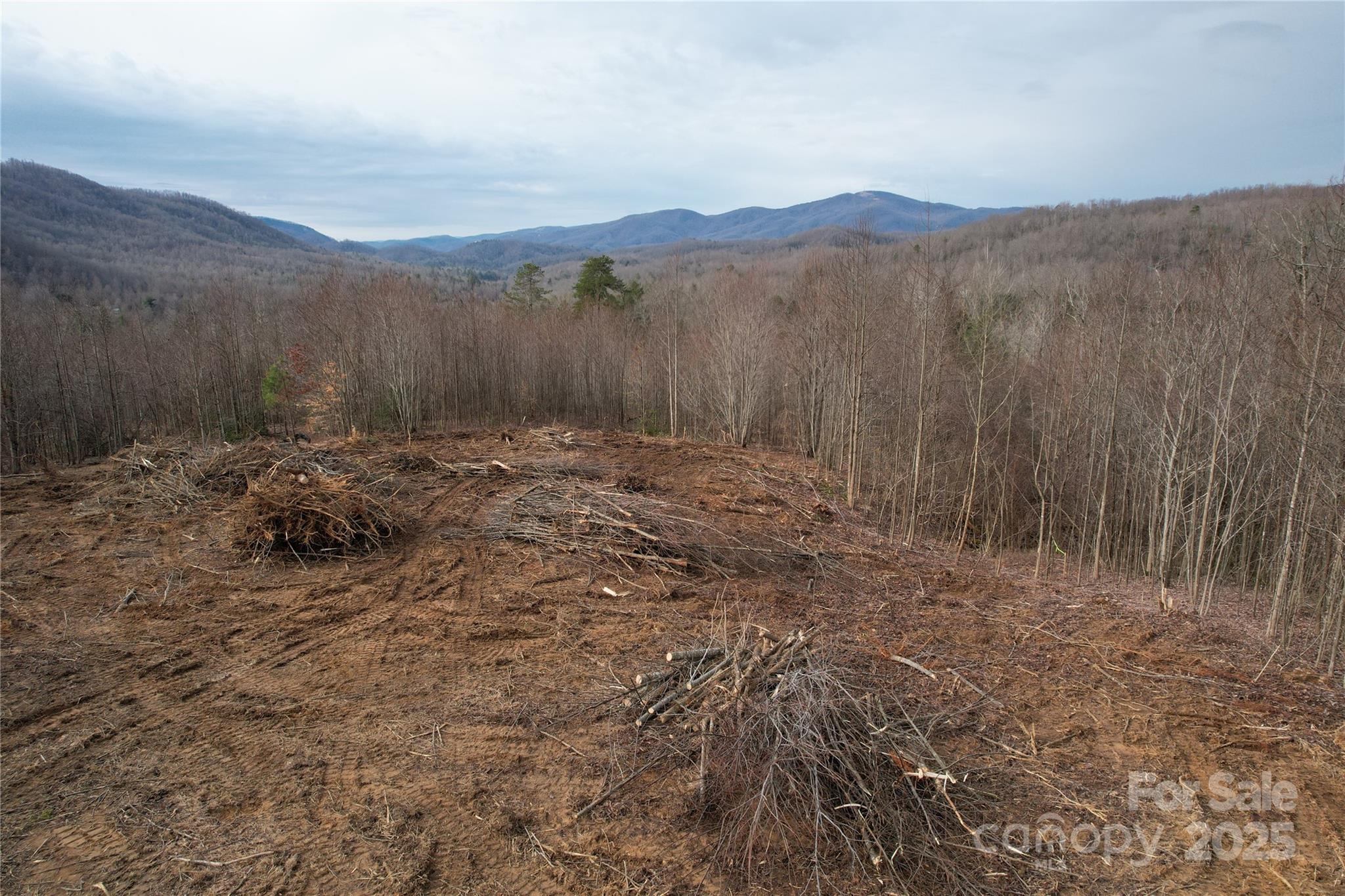99999 Old Fort Road Old Fort, NC 28762 - Photo 8 of 8 a view of a backyard of a house
