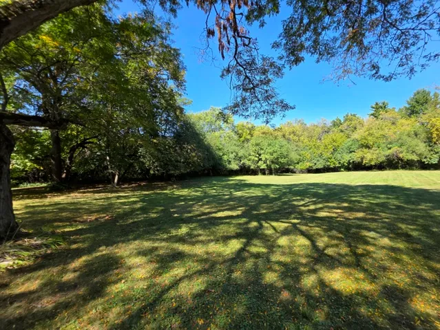 a view of yard with green space