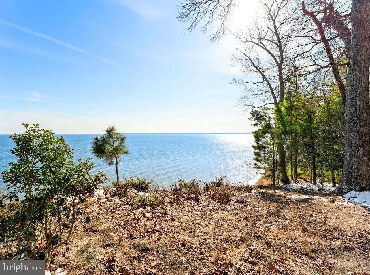 12626 Cheyenne Trail Lusby, MD 20657 - Photo 7 of 7 a view of a yard with an ocean view