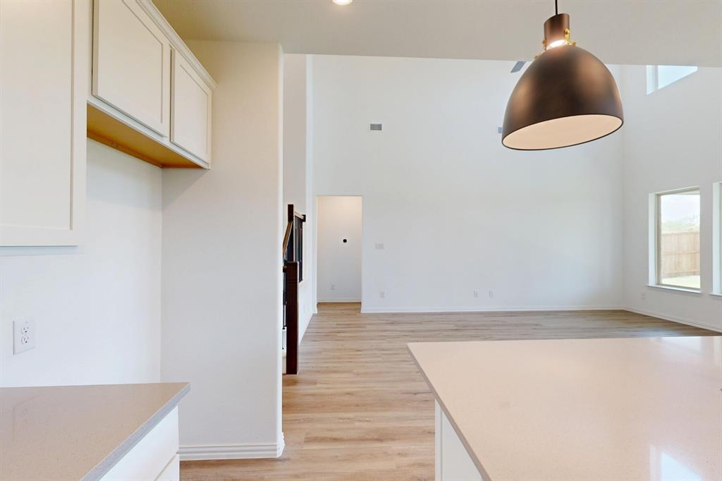 3712 Lavon Drive Pilot Point, TX 76258 - Photo 13 of 40