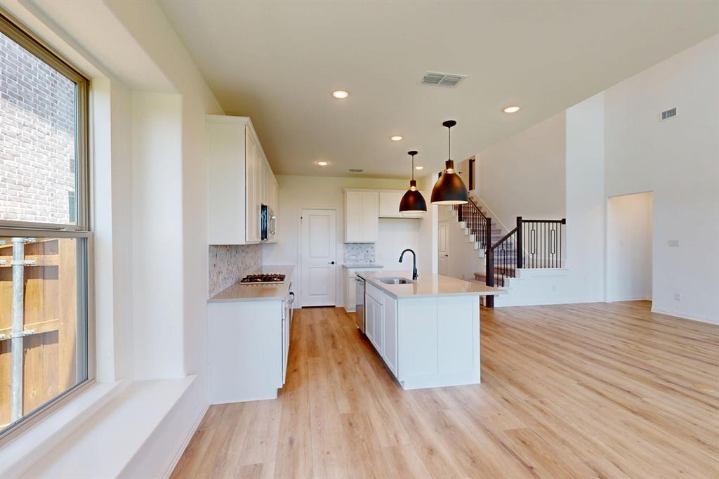 3712 Lavon Drive Pilot Point, TX 76258 - Photo 16 of 40