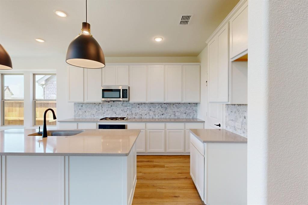 3712 Lavon Drive Pilot Point, TX 76258 - Photo 3 of 40