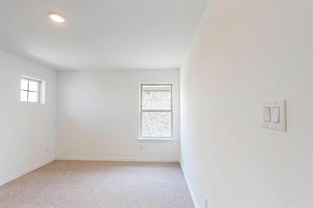 3712 Lavon Drive Pilot Point, TX 76258 - Photo 33 of 40