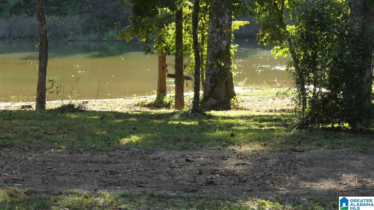 Lot #7 Lost Creek Cove Road, Unit 7 Delta, AL 36258 - Photo 5 of 14