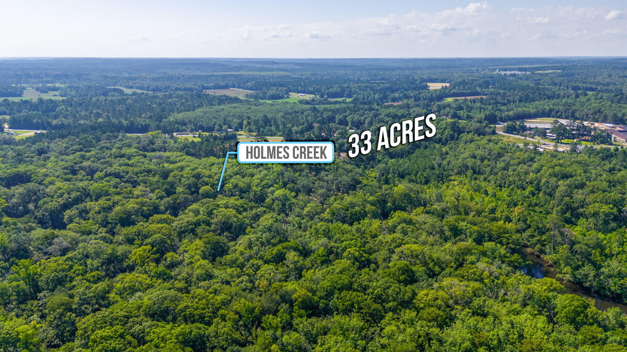 3612 Roche Avenue Vernon, FL 32462 - Photo 15 of 23 3-web-or-mls-Roche Ave Aerial-5