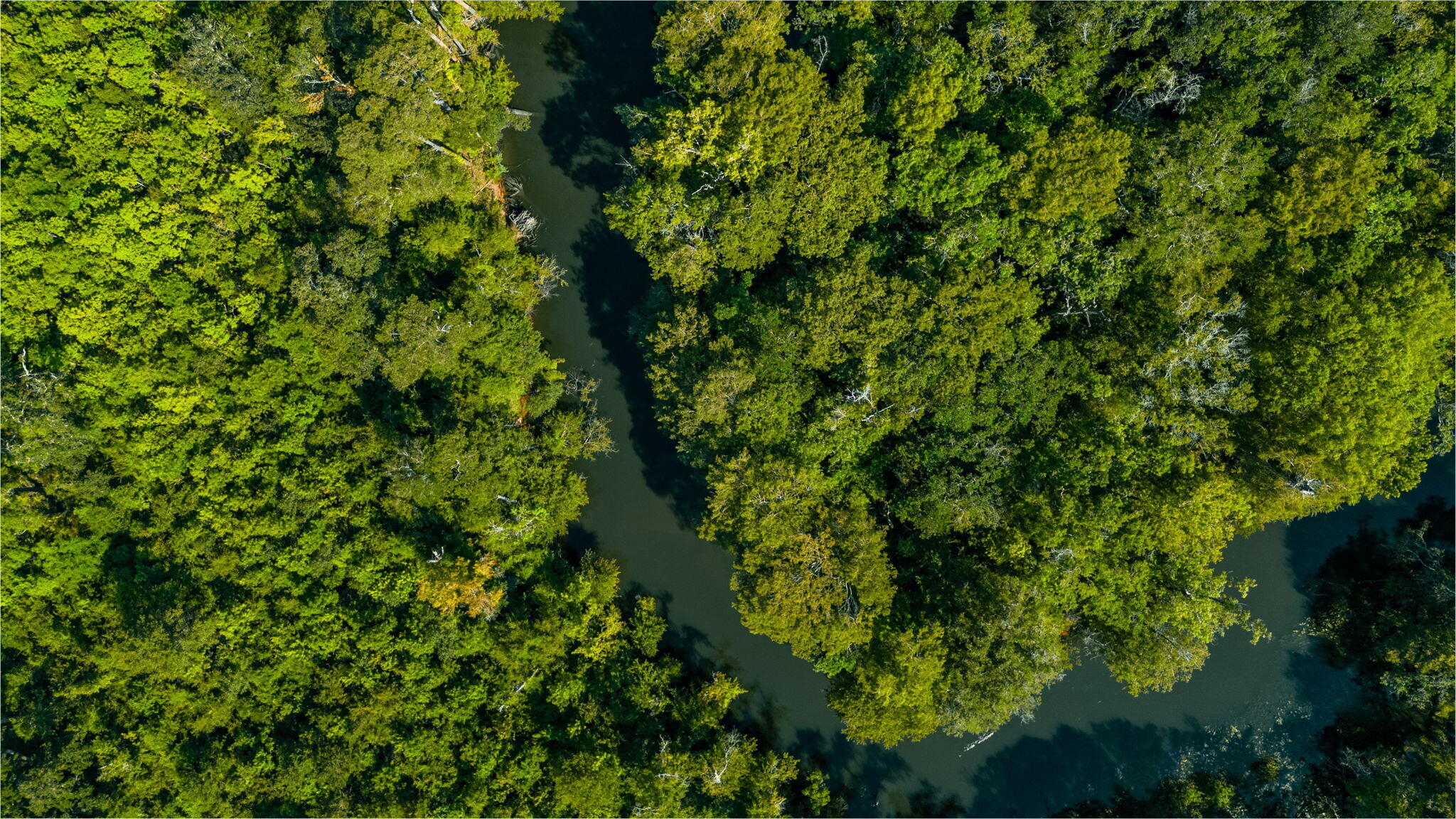 3612 Roche Avenue Vernon, FL 32462 - Photo 19 of 23 6-web-or-mls-Roche Ave Aerial-10 (2)