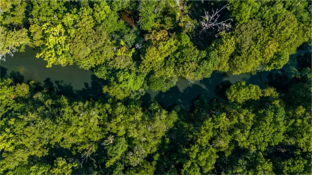 $449,900 | 3612 Roche Avenue, Vernon, FL 32462