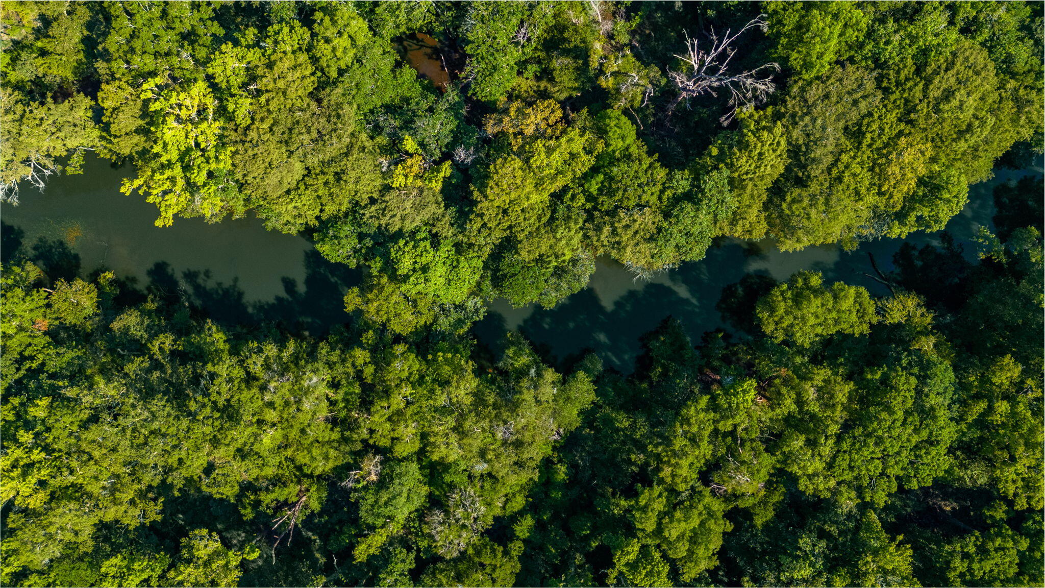 3612 Roche Avenue Vernon, FL 32462 - Photo 20 of 23 7-web-or-mls-Roche Ave Aerial-11 (2)