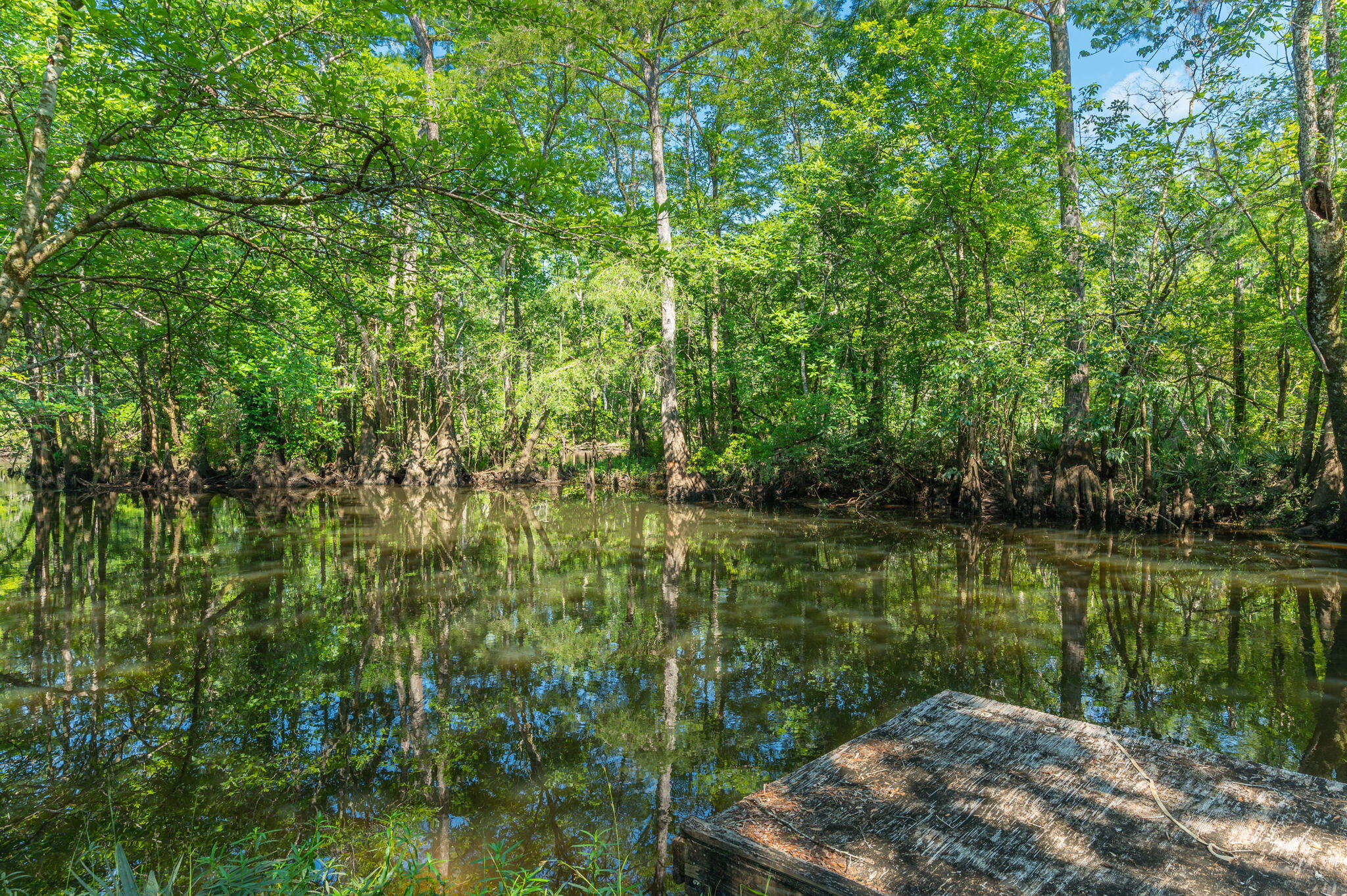 3612 Roche Avenue Vernon, FL 32462 - Photo 2 of 23 21-web-or-mls-Roche Ave Exterior-13