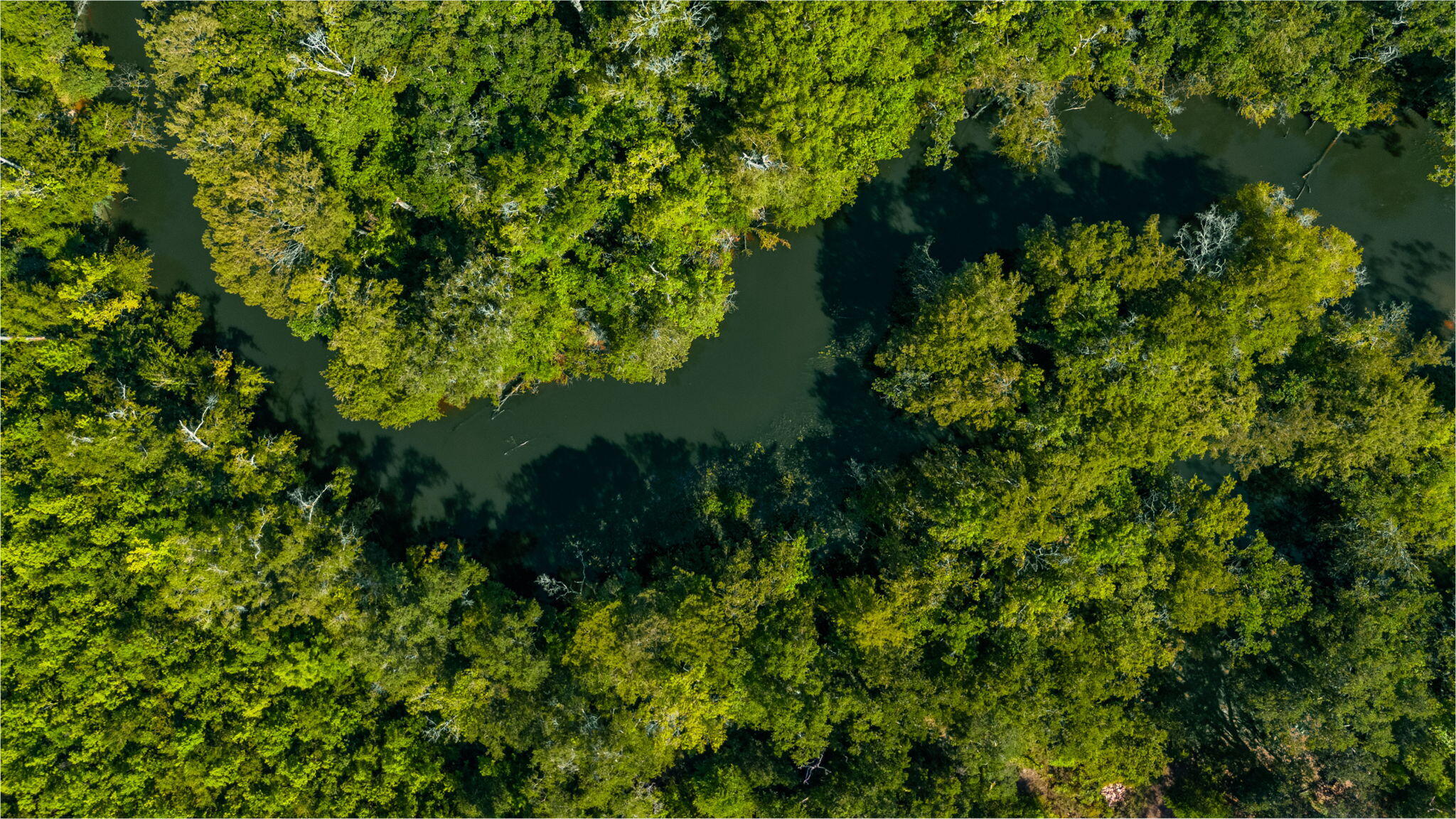 3612 Roche Avenue Vernon, FL 32462 - Photo 21 of 23 5-web-or-mls-Roche Ave Aerial-9 (2)