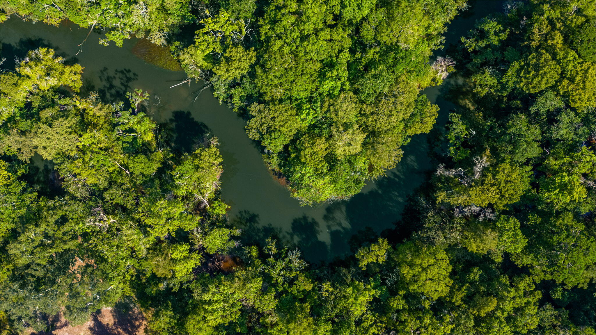 3612 Roche Avenue Vernon, FL 32462 - Photo 22 of 23 4-web-or-mls-Roche Ave Aerial-8 (2)