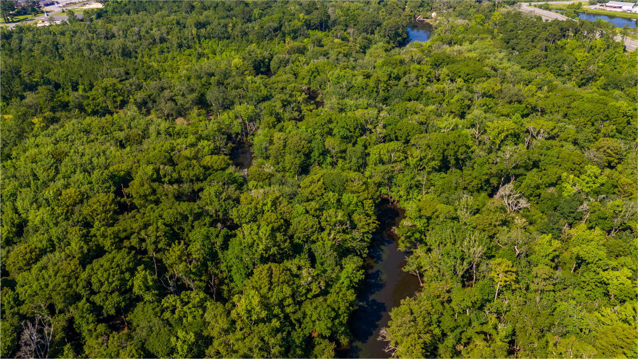 3612 Roche Avenue Vernon, FL 32462 - Photo 23 of 23 24-web-or-mls-Roche Ave Aerial-12
