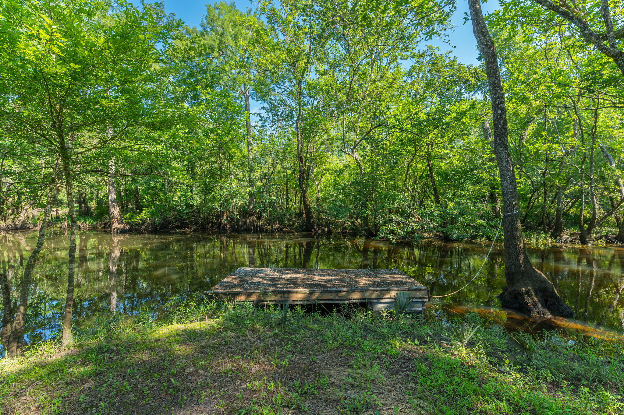 3612 Roche Avenue Vernon, FL 32462 - Photo 3 of 23 19-web-or-mls-Roche Ave Exterior-11