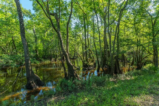 $449,900 | 3612 Roche Avenue, Vernon, FL 32462