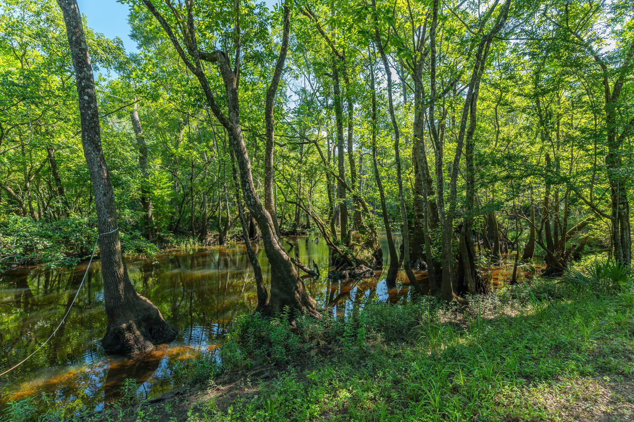 3612 Roche Avenue Vernon, FL 32462 - Photo 4 of 23 18-web-or-mls-Roche Ave Exterior-10