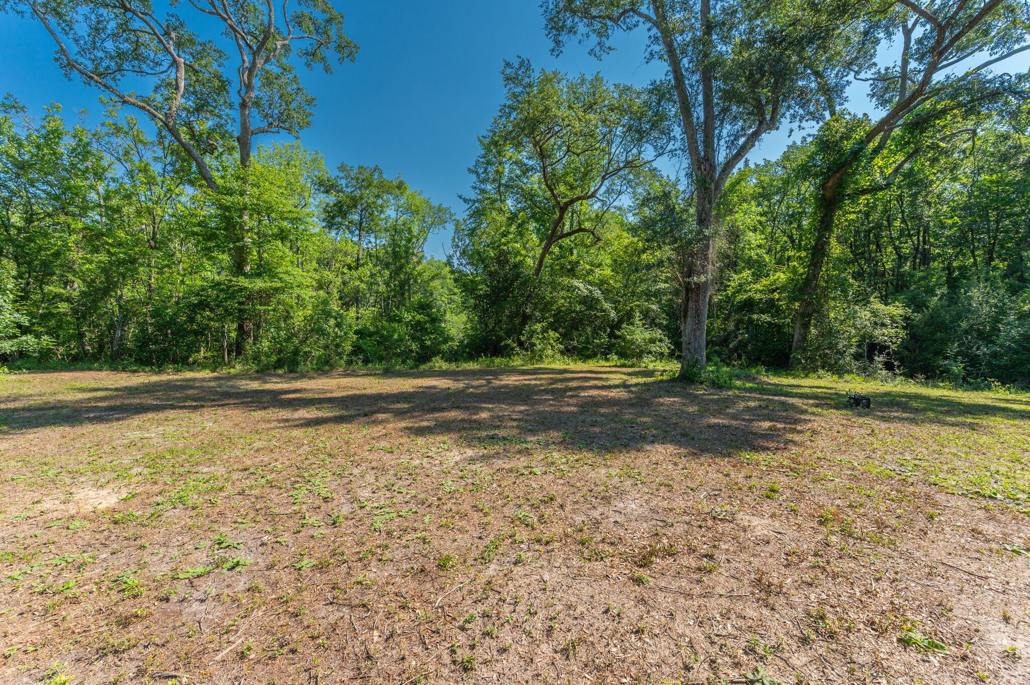 3612 Roche Avenue Vernon, FL 32462 - Photo 5 of 23 15-web-or-mls-Roche Ave Exterior-7