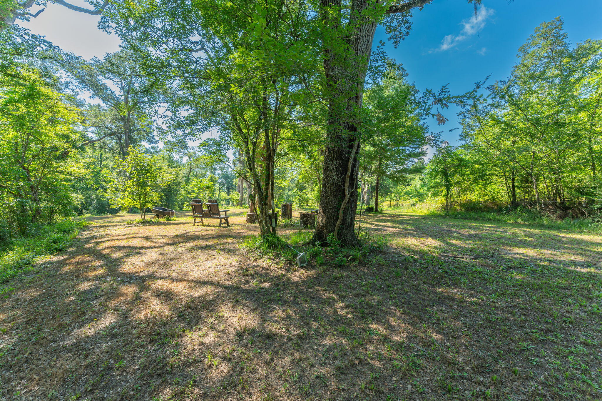 3612 Roche Avenue Vernon, FL 32462 - Photo 7 of 23 22-web-or-mls-Roche Ave Exterior-14