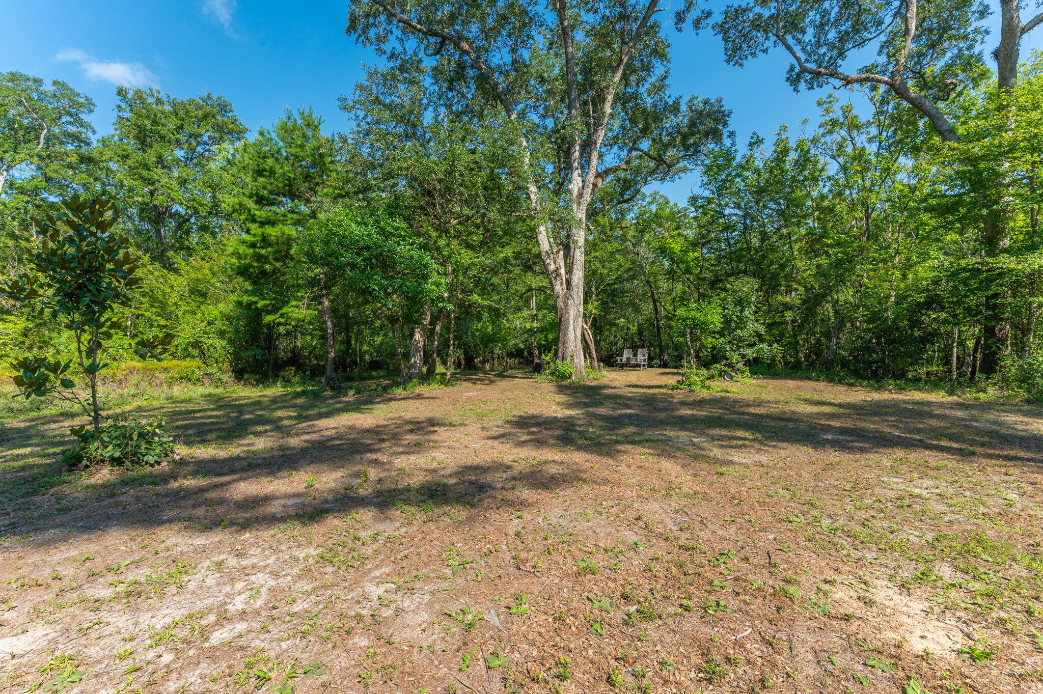 3612 Roche Avenue Vernon, FL 32462 - Photo 9 of 23 16-web-or-mls-Roche Ave Exterior-8