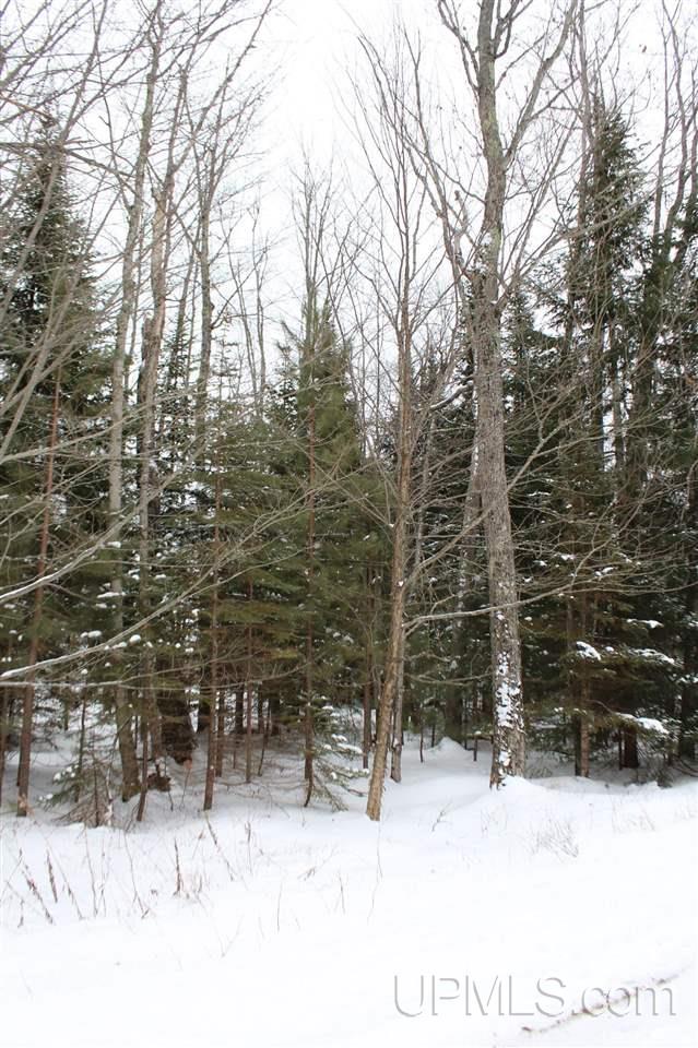 Tbd Des Rochers Road, Unit LOT 19 Pelkie, MI 49958 - Photo 5 of 33