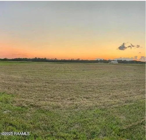 $35,000 | 0 Vie Terre Beau Road, Basile, LA 70515