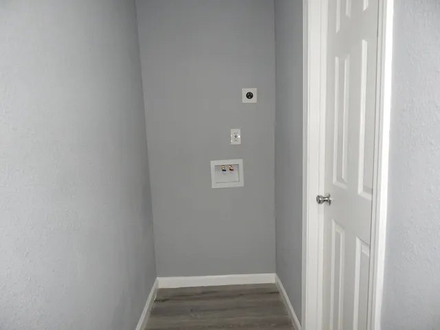 a view of a backyard with plants and large tree