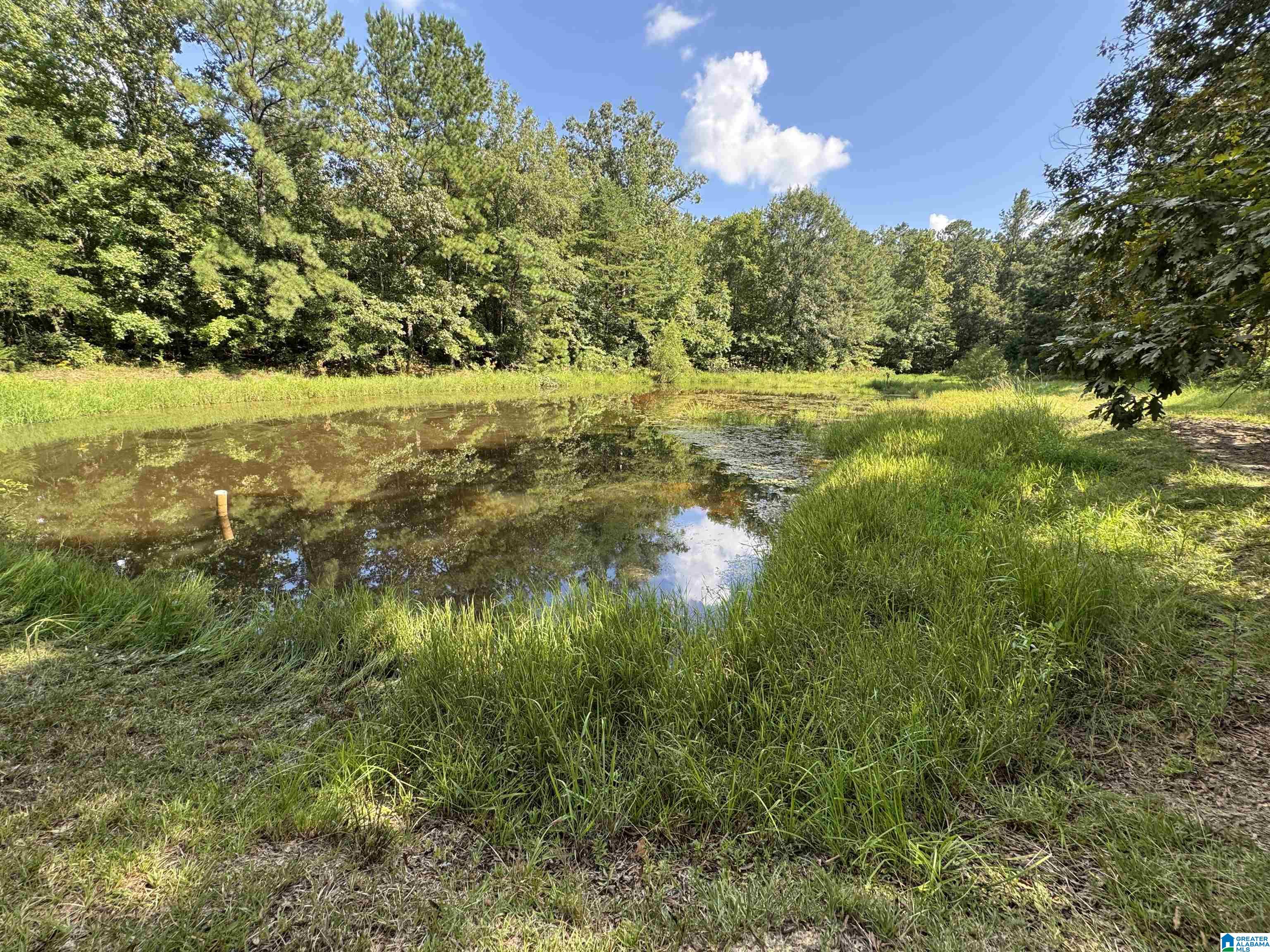 20394 County Road 55 Sterrett, AL 35147 - Photo 7 of 43