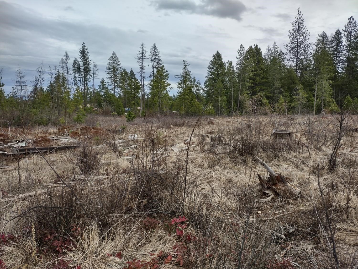 Xx Lyons Hill Road Springdale, WA 99173 - Photo 11 of 14