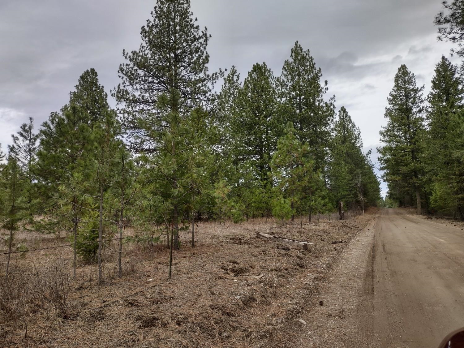 Xx Lyons Hill Road Springdale, WA 99173 - Photo 13 of 14