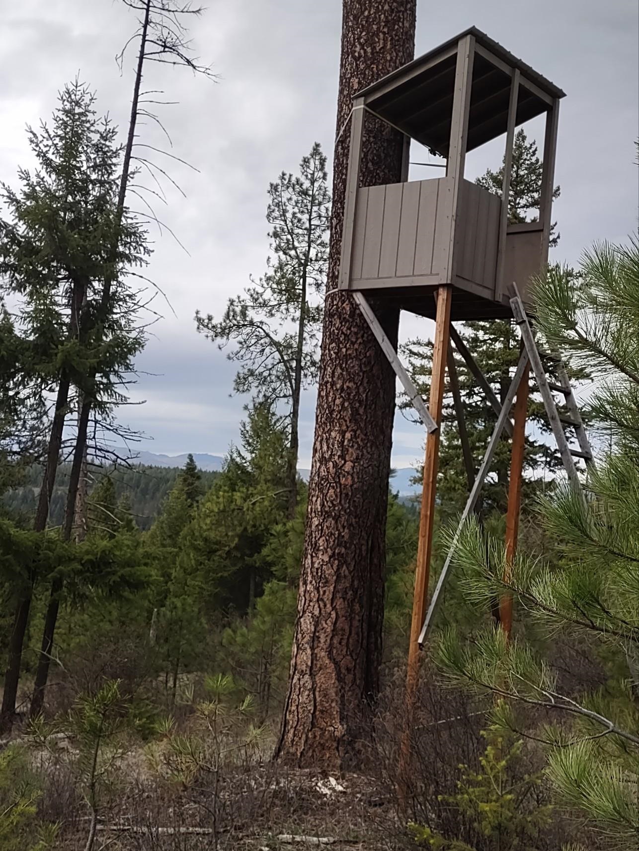 Xx Lyons Hill Road Springdale, WA 99173 - Photo 2 of 14