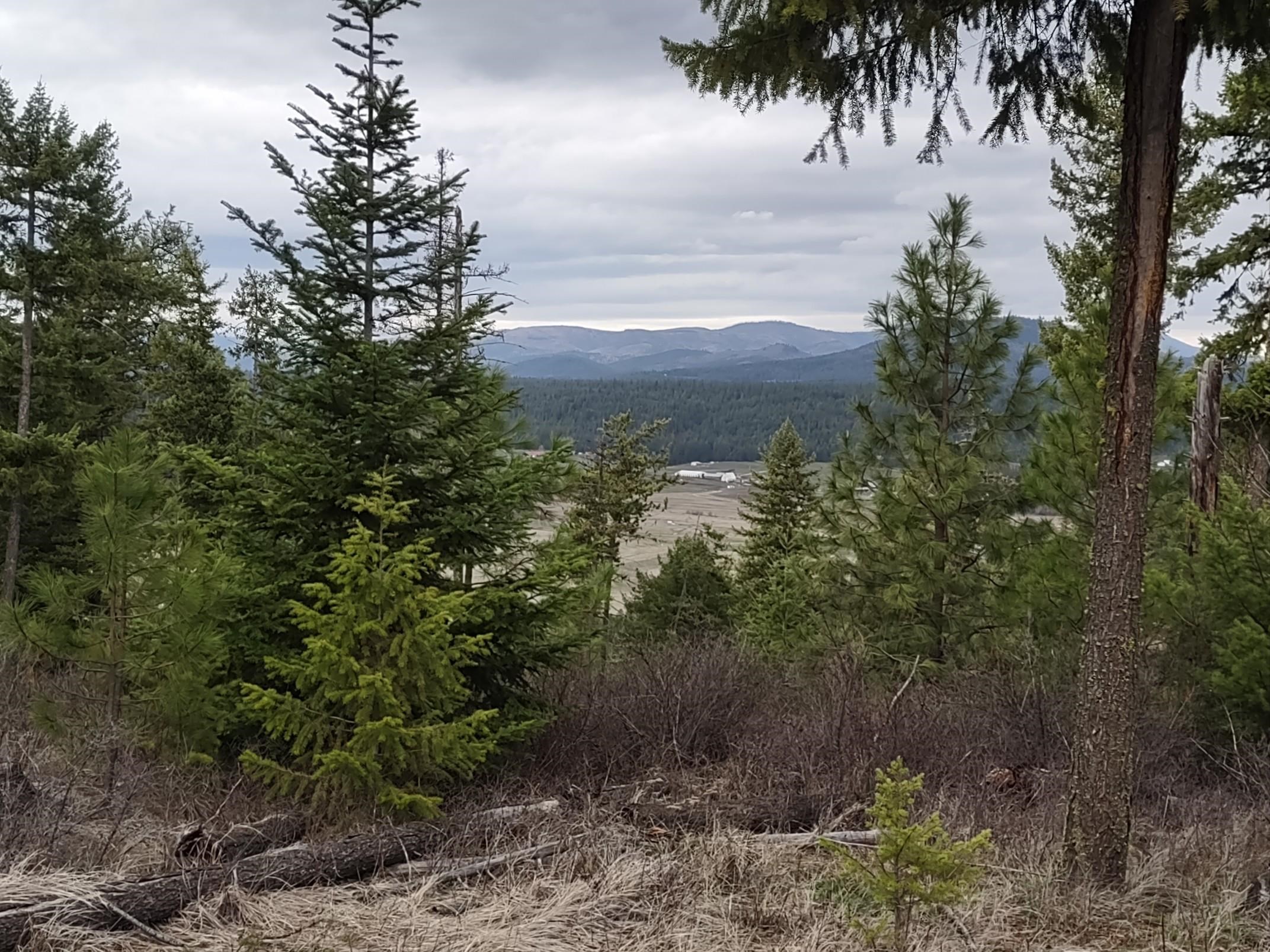 Xx Lyons Hill Road Springdale, WA 99173 - Photo 6 of 14