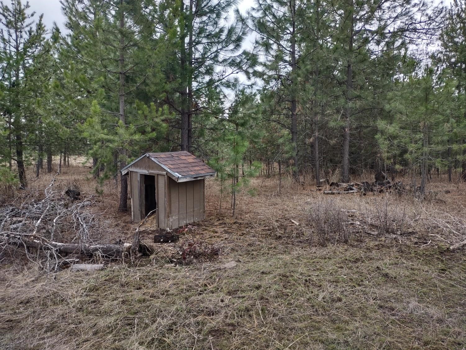 Xx Lyons Hill Road Springdale, WA 99173 - Photo 8 of 14