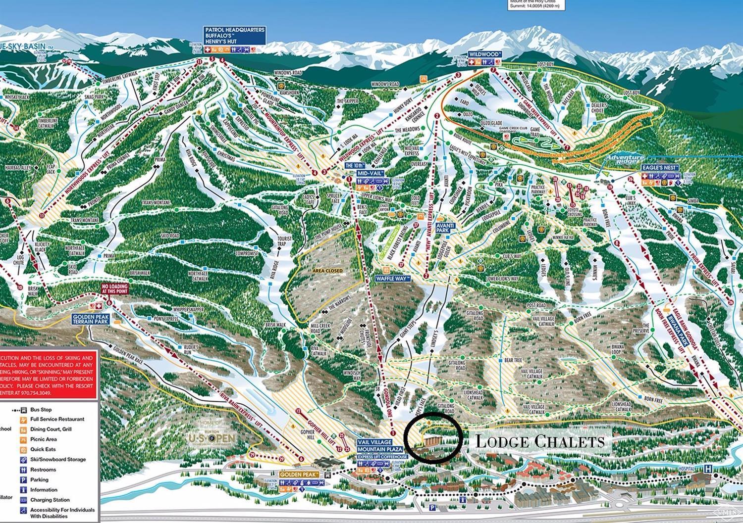 151 Vail Road, Unit 3 Vail, CO 81657 - Photo 2 of 25 a picture of a tree